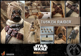 Hot Toys Star Wars The Mandalorian - Television Masterpiece Series Tusken Raider 1/6 Scale 12" Collectible Figure