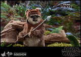 Hot Toys Star Wars Episode VI Return of The Jedi Ewok Wicket 1/6 Scale Figure